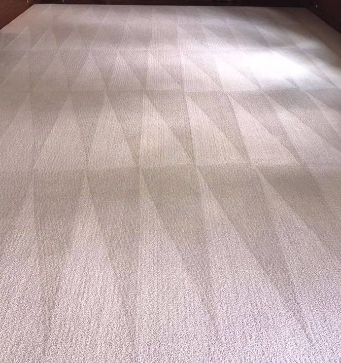 Mar Vista Carpet & Upholstery Cleaning | 11412 Venice Blvd, Los Angeles, CA 90066, USA | Phone: (424) 228-8266