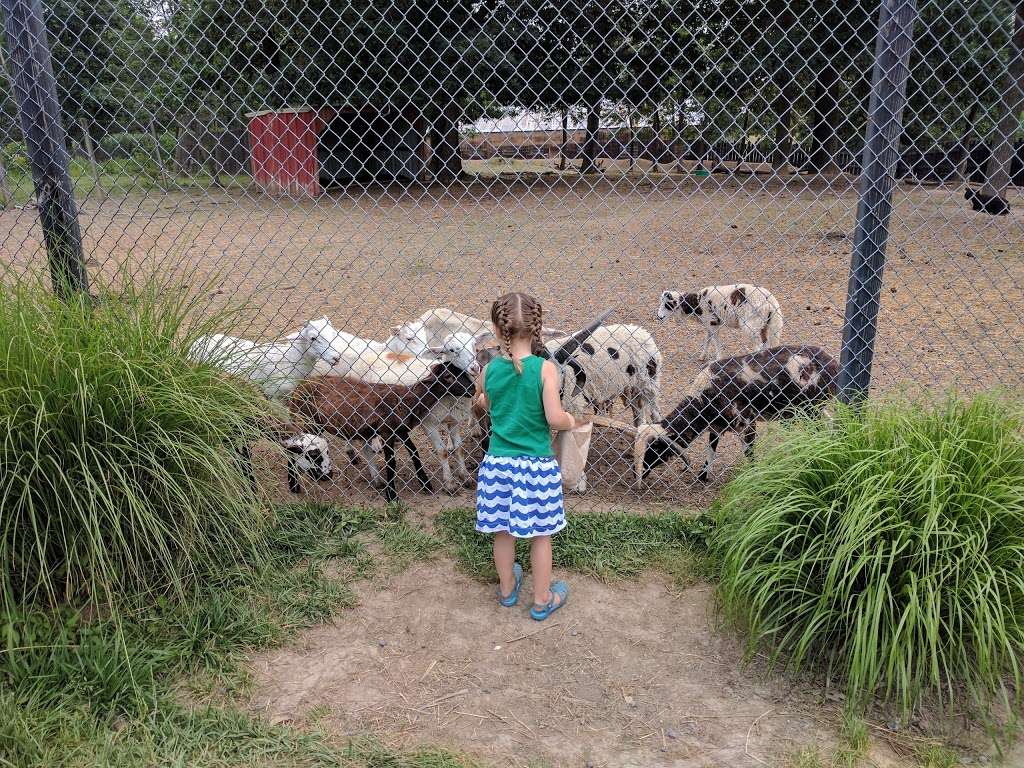 Wilsons Wild Animal Park | 985 W Parkins Mill Rd, Winchester, VA 22602, USA