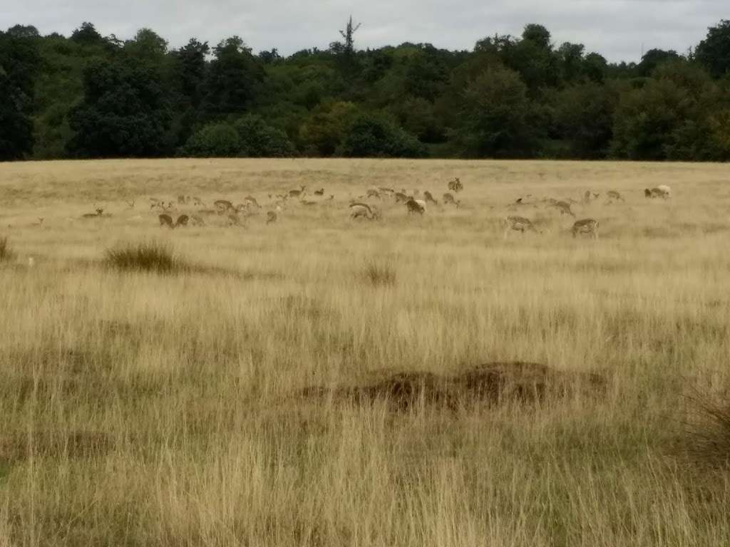 Main Lodge Knole | Sevenoaks TN15 0RP, UK