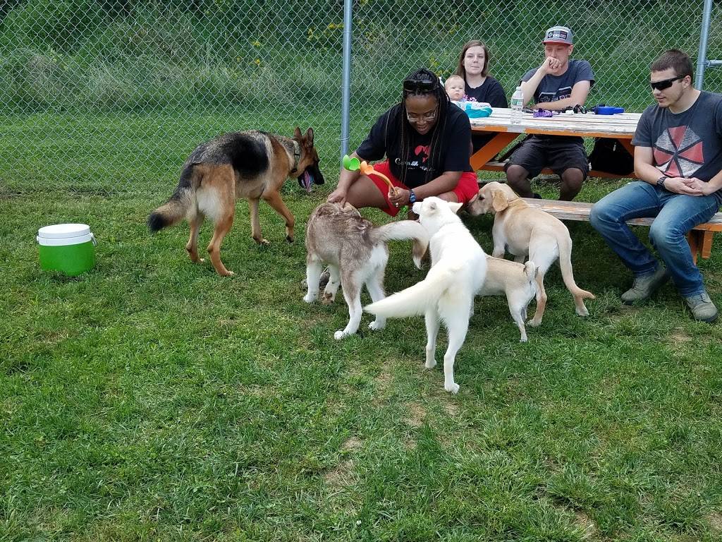 Jewell Dog Park | 600-624 Combs Rd, Bellevue, NE 68005, USA | Phone: (402) 293-3122