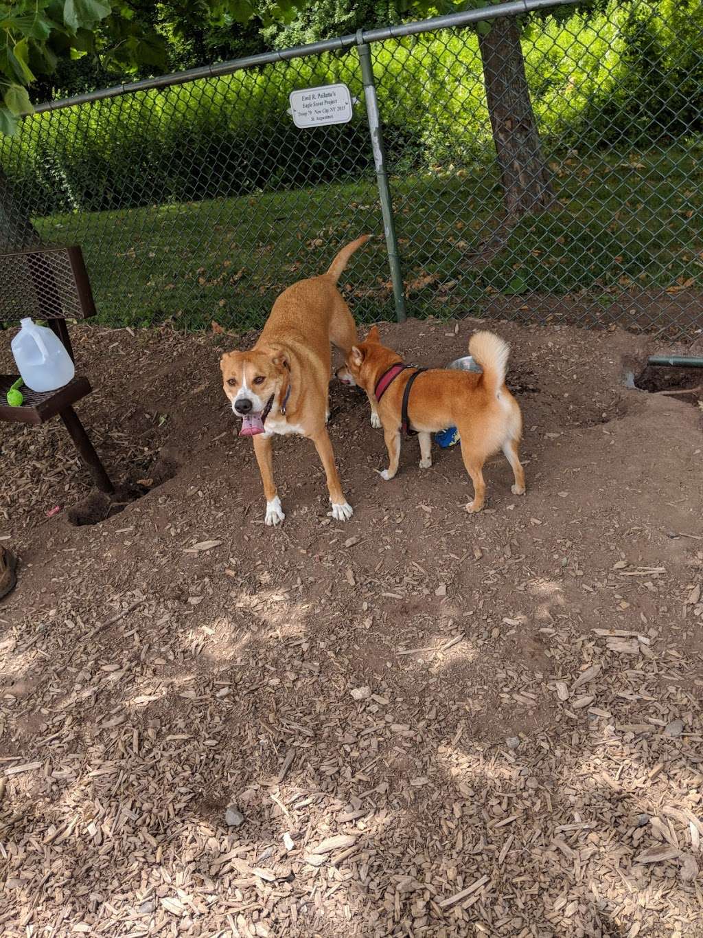 Kennedy Dells Dog Park | Zukor Rd, New City, NY 10956 | Phone: (845) 364-2670