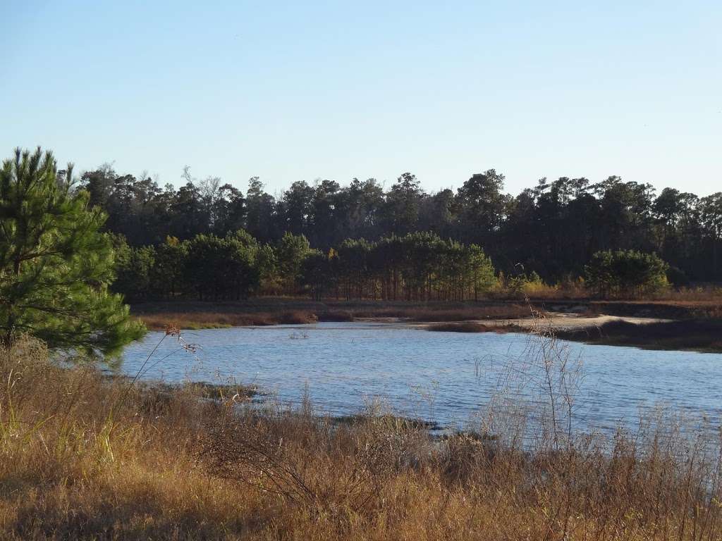 Spring Creek Nature Trail | Tomball, TX 77375, USA