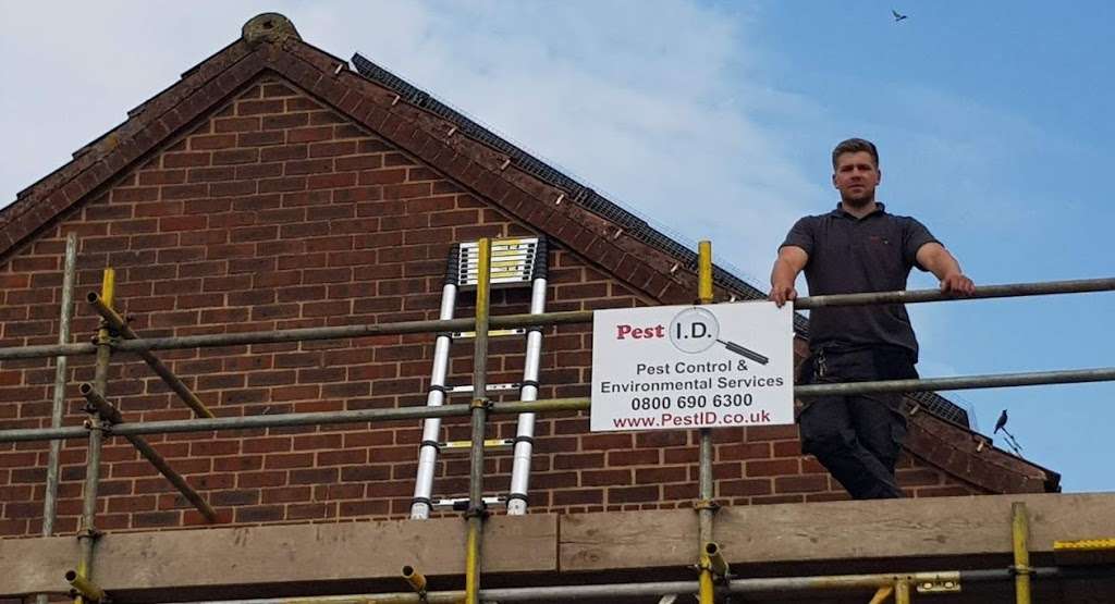 Pest ID Limited | 36a Corringham Rd, Stanford-le-Hope SS17 0AH, UK | Phone: 01375 720490