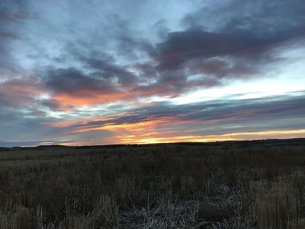 Josephine Roche Open Space | Lafayette, CO 80026