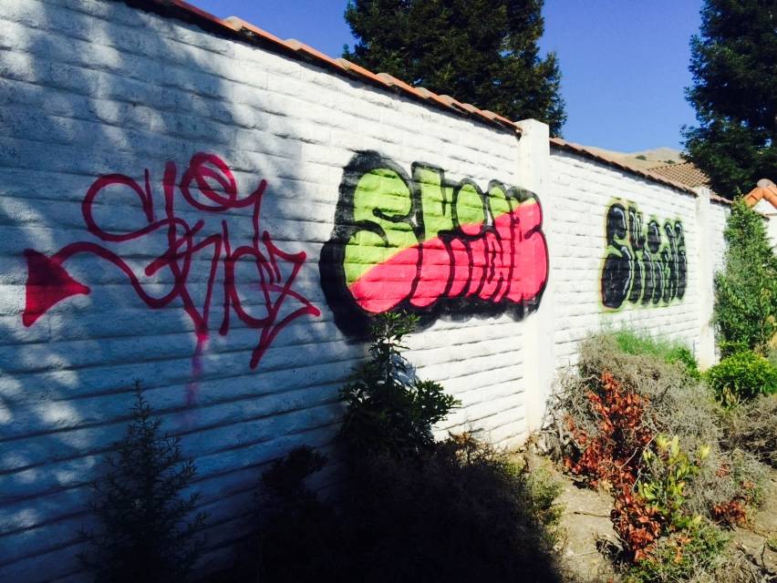 Graffiti Removal Guys Inc. | 565 Cadburry Ct, San Jose, CA 95123 | Phone: (408) 205-0976