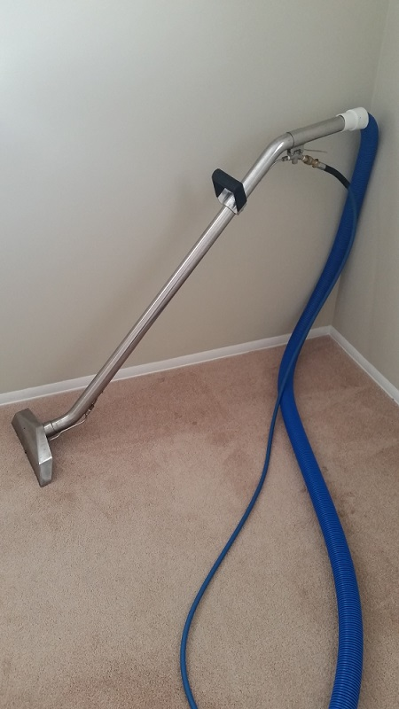 The Right Guy Carpet Cleaning, Inc | 2948 Kirk Rd Suite 106-185, Aurora, IL 60502, USA | Phone: (630) 354-8724