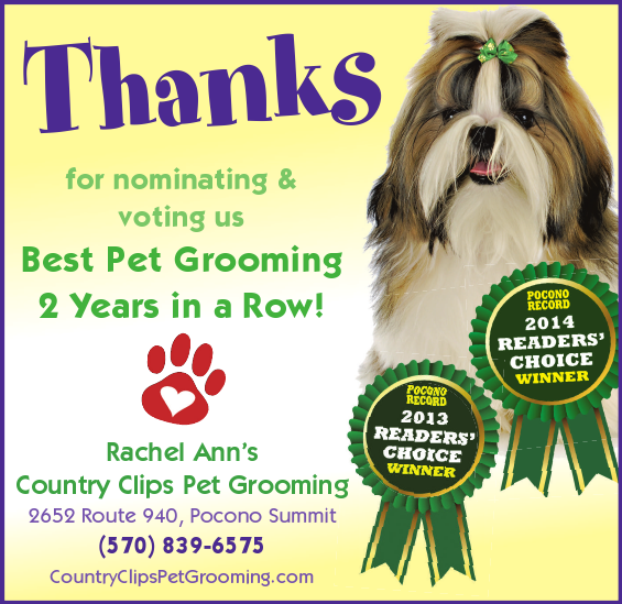 Rachel Anns Country Clips Pet Grooming | 2652 PA-940 #105, Pocono Summit, PA 18346, USA | Phone: (570) 839-6575