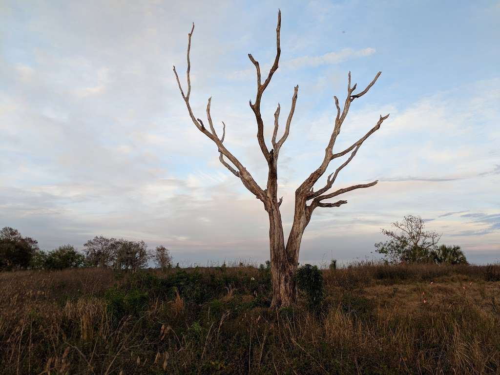 Cherokee Point Conservation Area | 2501 Cherokee Rd, St Cloud, FL 34772, USA | Phone: (407) 742-0200