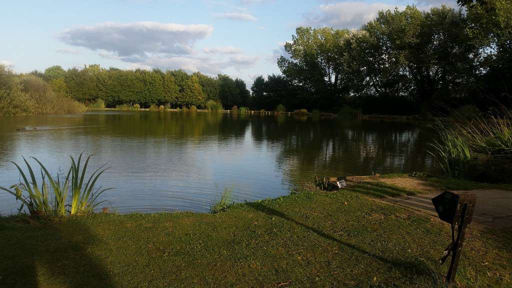 Pittlands Lakes | Churn Ln, Horsmonden, Tonbridge TN12 8HL, UK