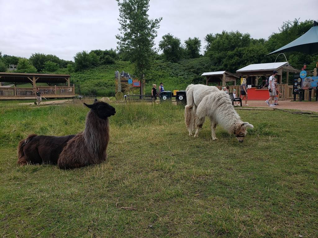 Bison & Pronghorn | Apple Valley, MN 55124, USA | Phone: (800) 366-7811