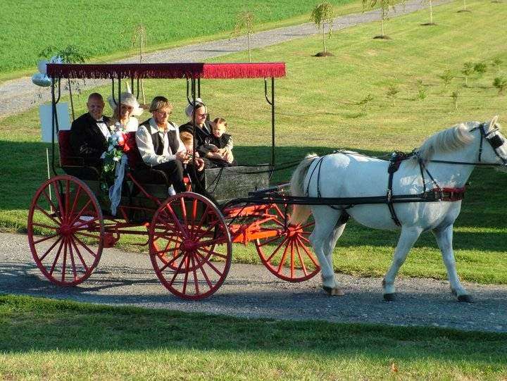 Fringe Top Surrey Carriage Service | Charlestown Rd, Washington Boro, PA 17582, USA | Phone: (717) 286-4734