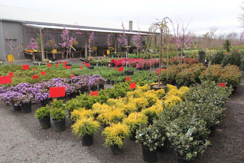 Rave Landscaping & Discount Plant Center | 621 Valley View Rd, Dallas, PA 18612, USA | Phone: (570) 675-4537