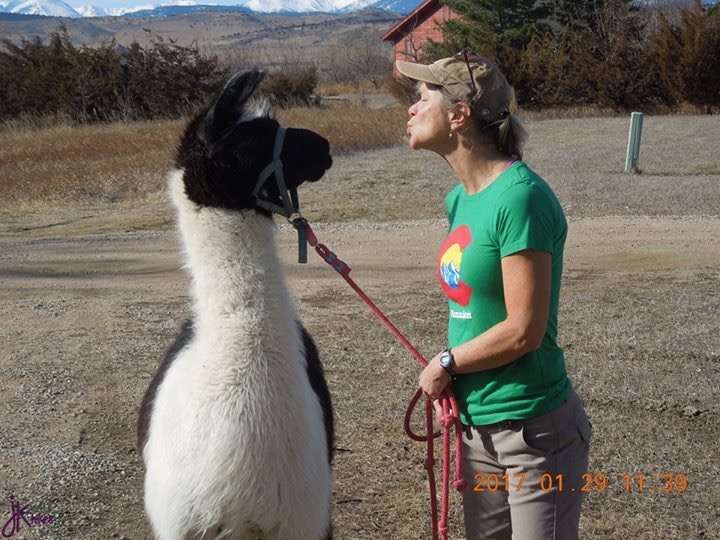 Llama Llama Ding Dong Hikes | 892 Eldorado Dr, Superior, CO 80027, USA | Phone: (303) 817-3680