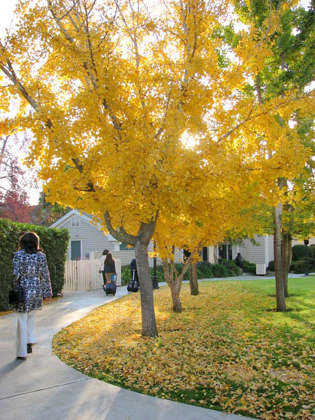 Clairbourn School: Pasadena Area Private School (Preschool to El | 8400 Huntington Dr, San Gabriel, CA 91775, USA | Phone: (626) 286-3108