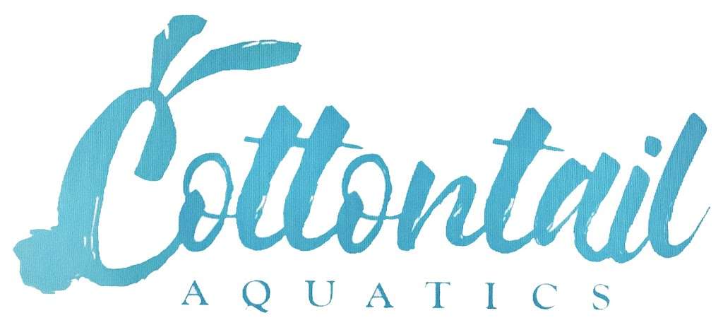Cottontail Aquatics Swim Instruction | San Diego, CA, USA | Phone: (760) 717-6357