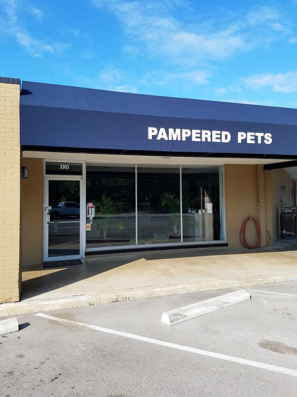 Pampered Pets | 3303 Hancock Dr, Austin, TX 78731 | Phone: (512) 323-5745