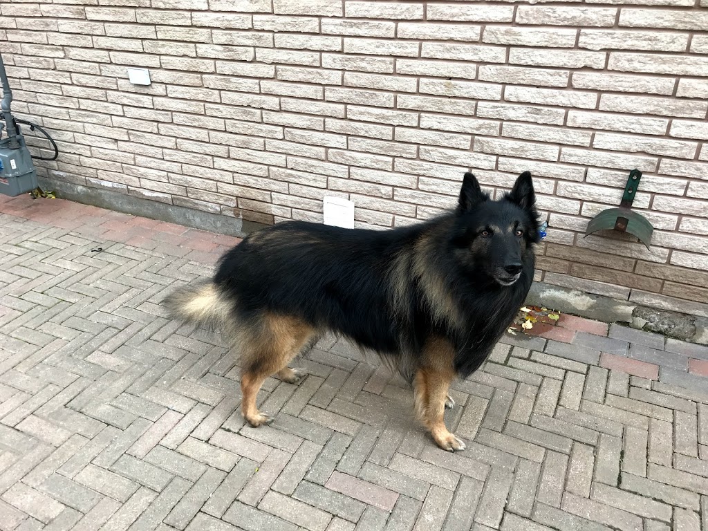 Happy Howlers Raw Pet Food | 8304 Mundare Crescent, Niagara Falls, ON L2G 7M5, Canada | Phone: (905) 295-3134