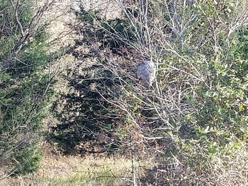 Blue Mash Nature Trail | 20400 Zion Rd, Gaithersburg, MD 20882, USA | Phone: (301) 495-4500