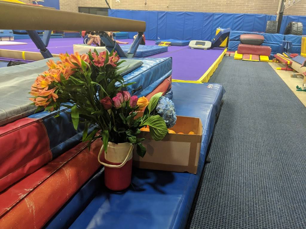 YMCA GYMNASTICS | 2422 N Fillmore St, Arlington, VA 22207, USA | Phone: (703) 525-5420