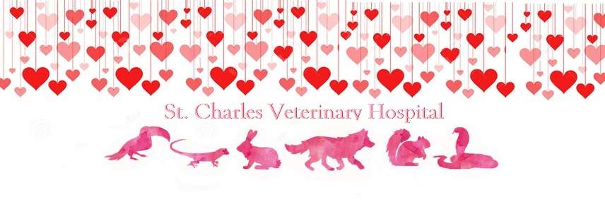 St Charles Veterinary Hospital | 2360 North Blvd W, Davenport, FL 33837, USA | Phone: (863) 438-6600