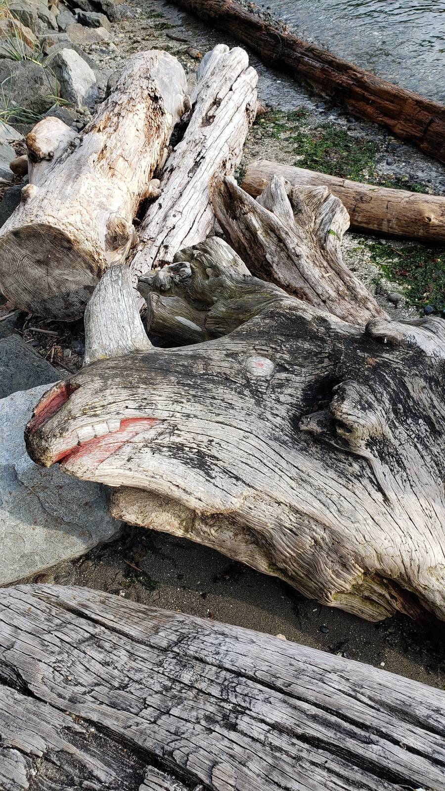 Driftwood Sculpture Walk, Lincoln Park, West Seattle | 7398 Beach Dr SW, Seattle, WA 98136, USA | Phone: (206) 452-3991