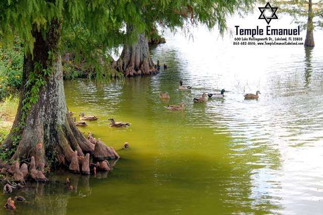 Temple Emanuel of Lakeland | 600 Lake Hollingsworth Dr, Lakeland, FL 33803, USA | Phone: (863) 682-8616