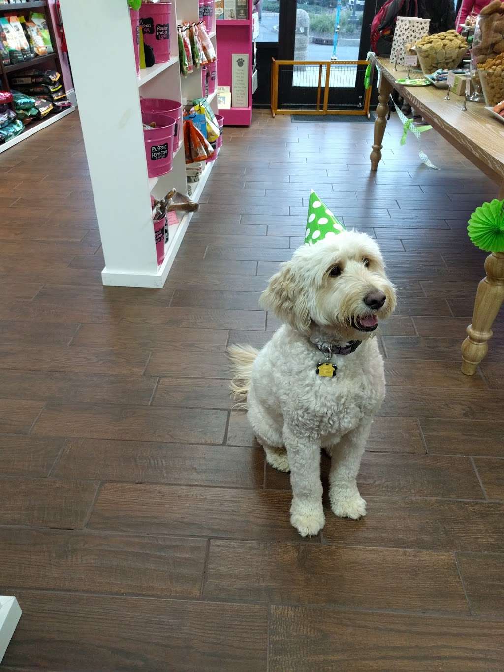 Woof Gang Bakery & Grooming Bridgewater | 732 US-202 #130, Bridgewater, NJ 08807, USA | Phone: (908) 595-9663