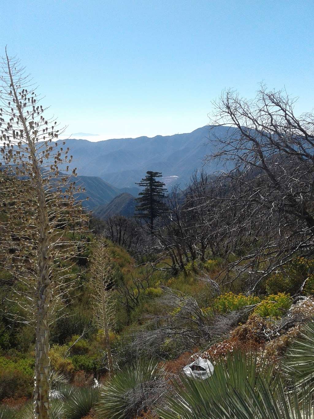 Parking and trailhead to a few unnamed trails | Angeles Crest Hwy, Palmdale, CA 93550