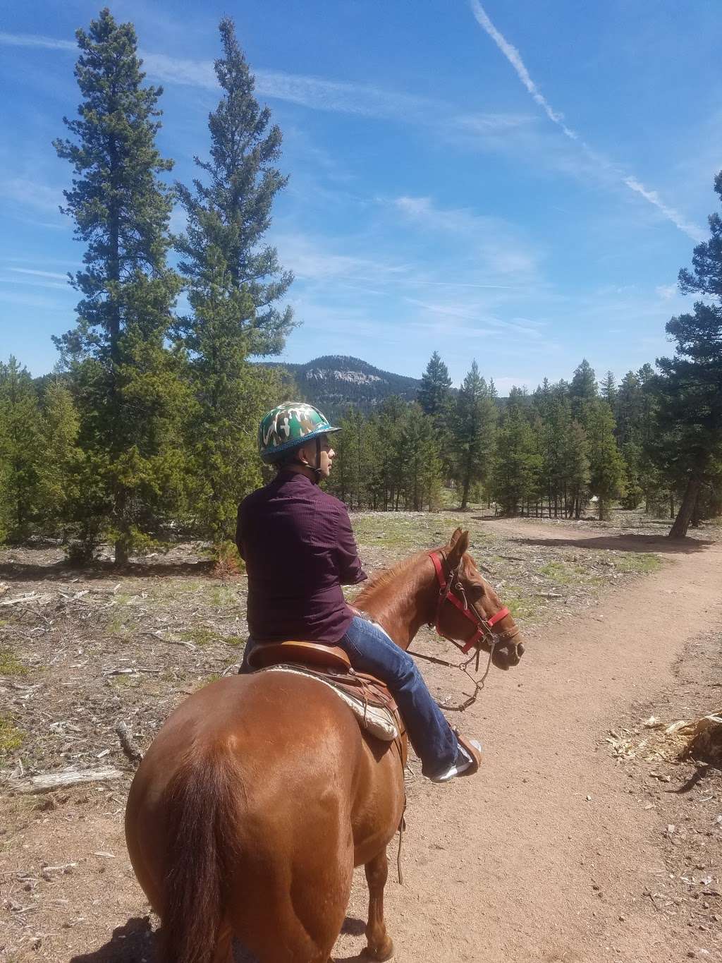 Bear Mountain Stables | 11778 Wonder Dr, Conifer, CO 80433, USA | Phone: (303) 588-2551