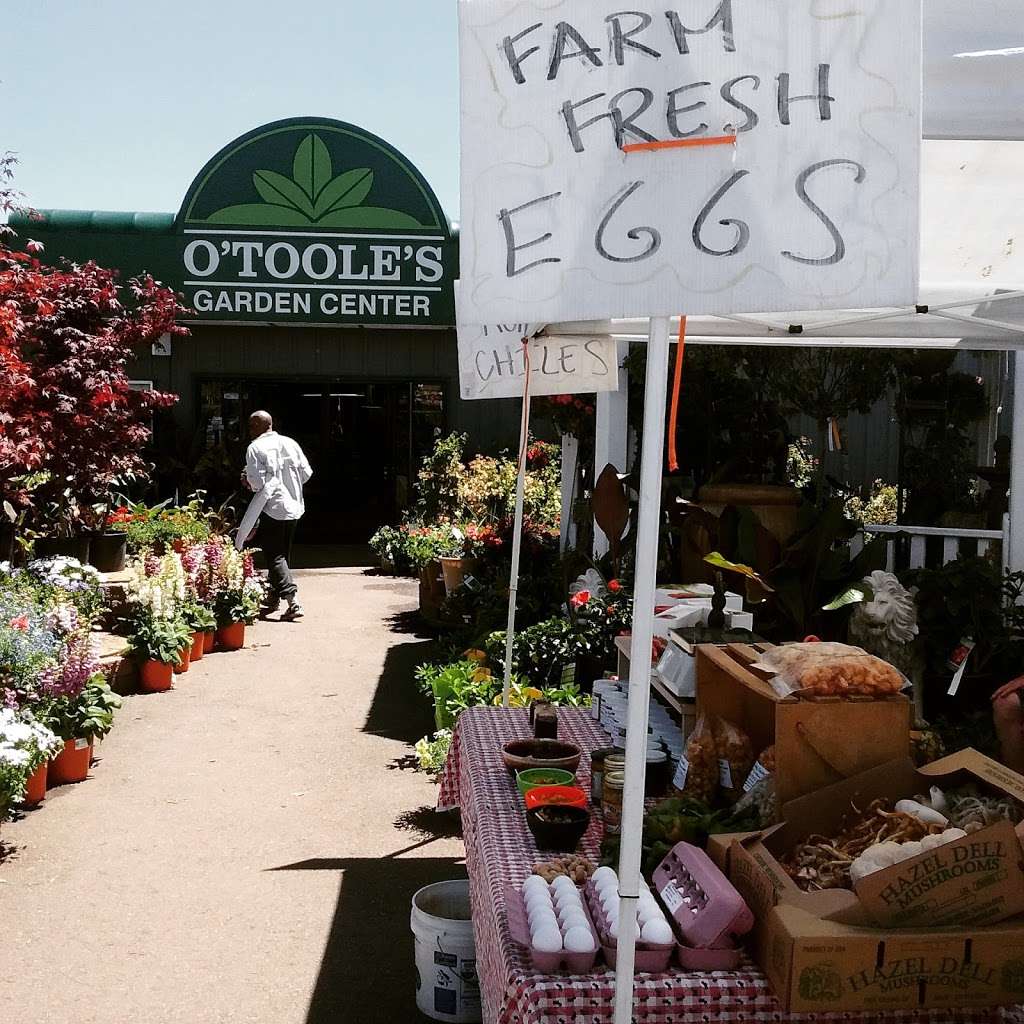 OTooles Garden Center | 1404 Quail St, Lakewood, CO 80215, USA | Phone: (303) 232-6868