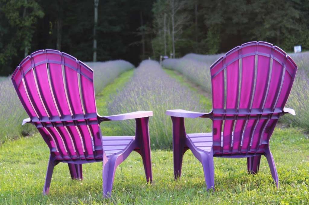 Hope Hill Lavender Farm LLC | 2375 Panther Valley Rd, Pottsville, PA 17901, USA | Phone: (570) 617-0851