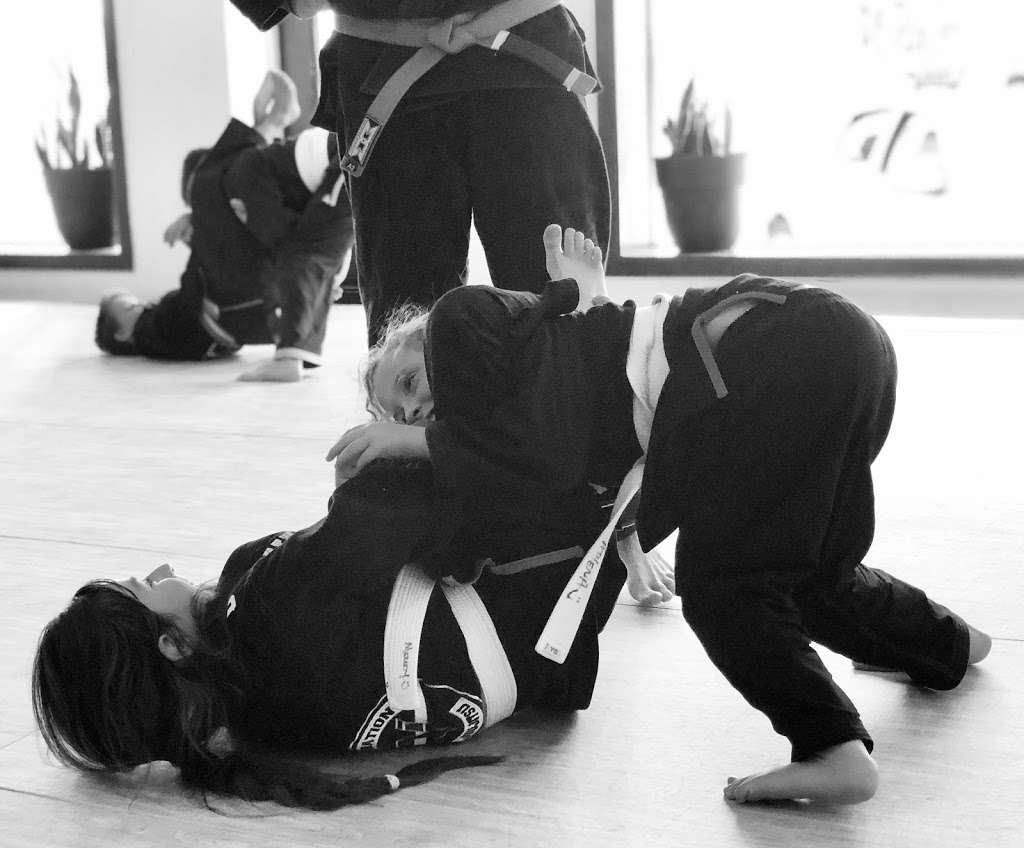 Veneration Jiu-jitsu | 117 Park Pl, Delavan, WI 53115, USA | Phone: (262) 812-9584