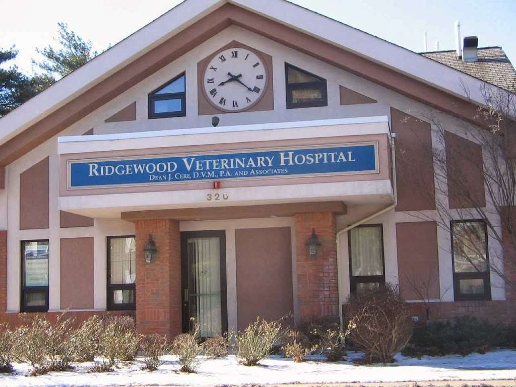 Ridgewood Veterinary Hospital | 320 E Ridgewood Ave, Ridgewood, NJ 07450, USA | Phone: (201) 447-6000