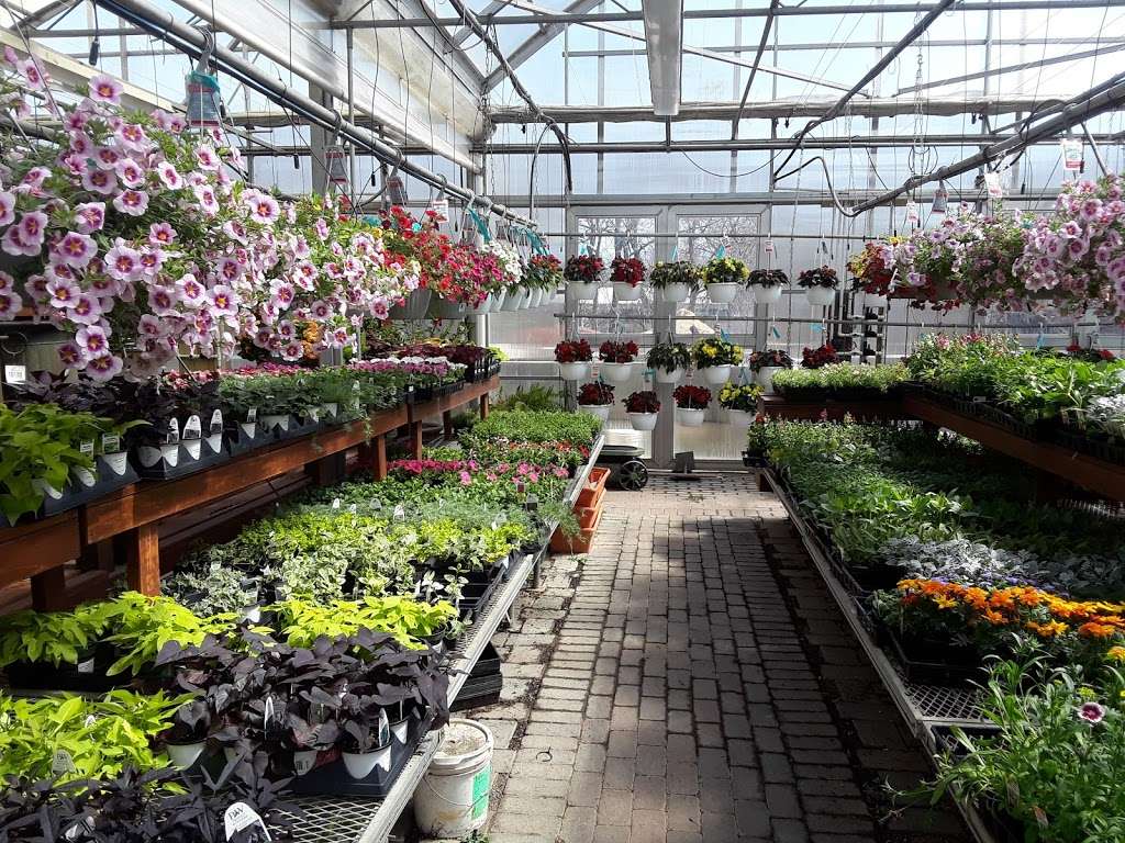 4 Seasons Garden Center | 9005 Hamilton Blvd, Breinigsville, PA 18031, USA | Phone: (610) 336-9566