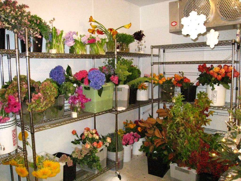 Arrangements By Mary Parks | 2800 Shamrock Ave # E, Fort Worth, TX 76107, USA | Phone: (817) 882-8998