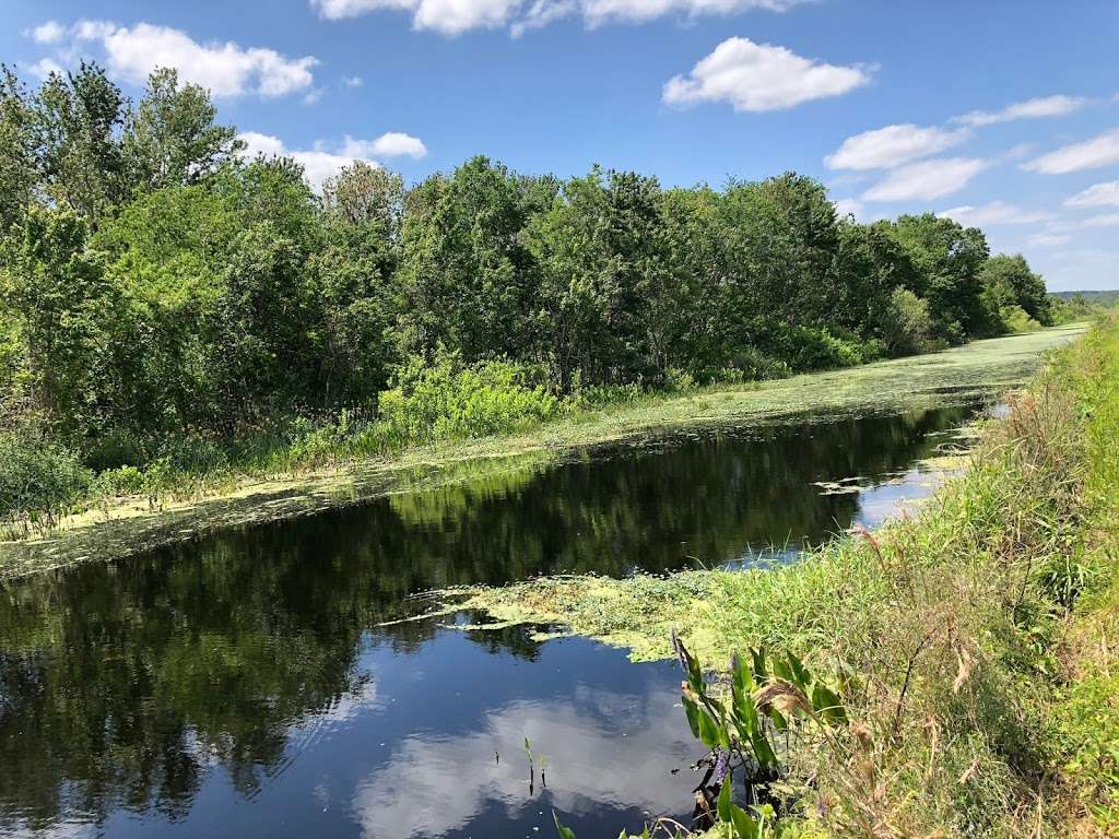 Clay Island Trailhead | Clermont, FL 34715, USA