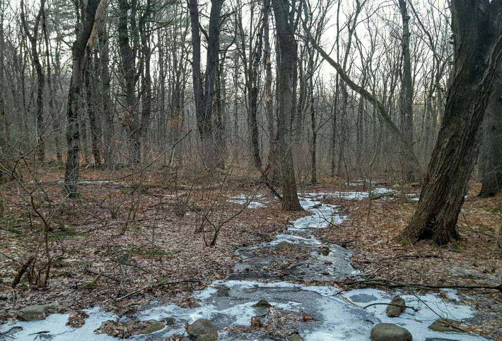 Mt Pisgah Trail Parking | 23 Smith Rd, Northborough, MA 01532, USA