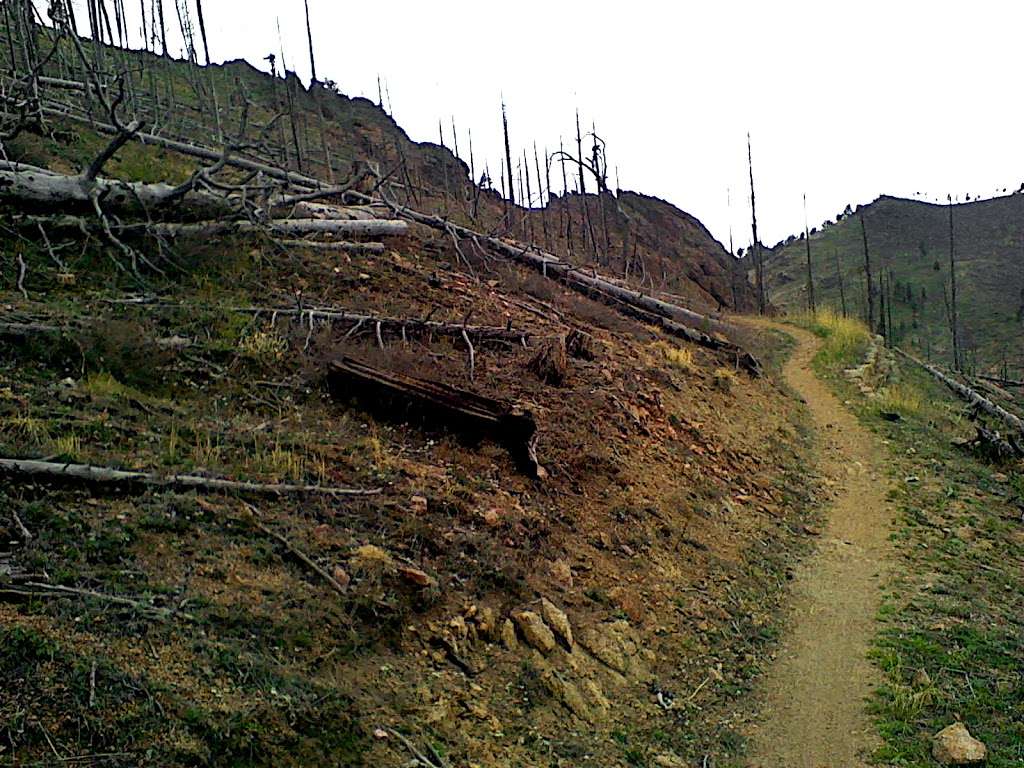 Walker Ranch Myers Homestead Trailhead | 7325 Flagstaff Rd, Boulder, CO 80302, USA | Phone: (303) 678-6200