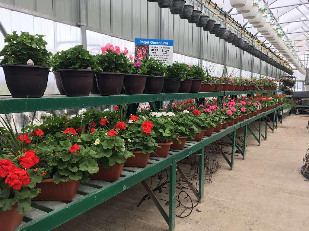 Van Kalker Farms & Greenhouses | 1808 E Joe Orr Rd, Chicago Heights, IL 60411 | Phone: (708) 758-1732