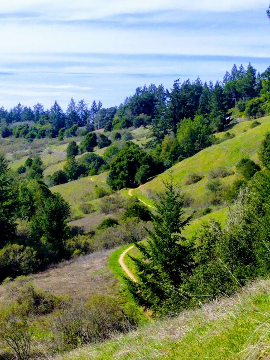 Long Ridge Open Space Preserve | La Honda, CA 94020, USA | Phone: (650) 691-1200