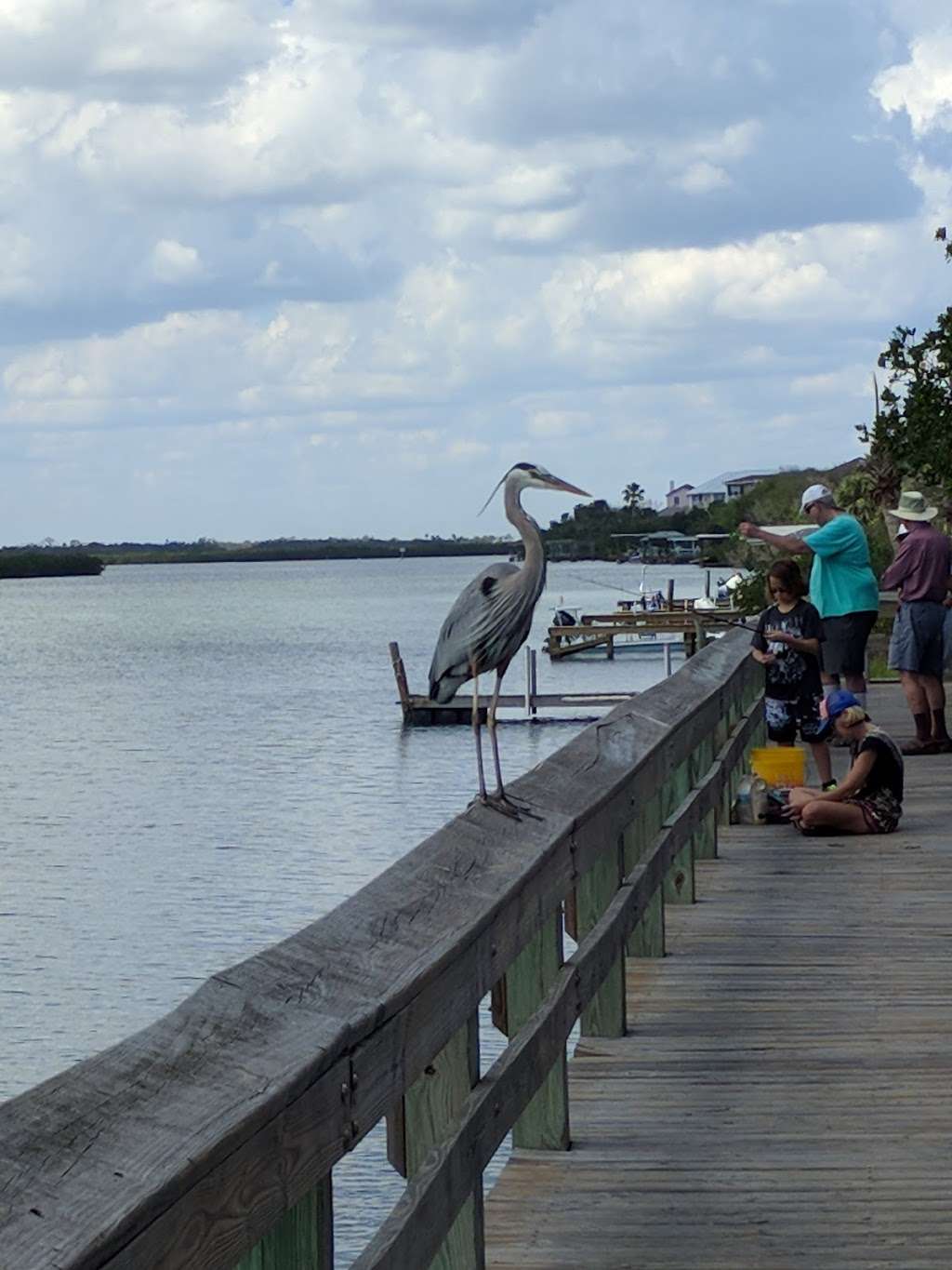 Mary McLeod Bethune Park West Side | Ladyfish Ave, New Smyrna Beach, FL 32169, USA