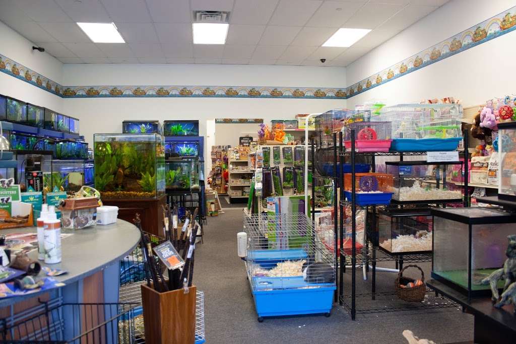 Noahs Ark Aquarium & Pet Shop | 31 NY-22, Pawling, NY 12564 | Phone: (845) 493-0642