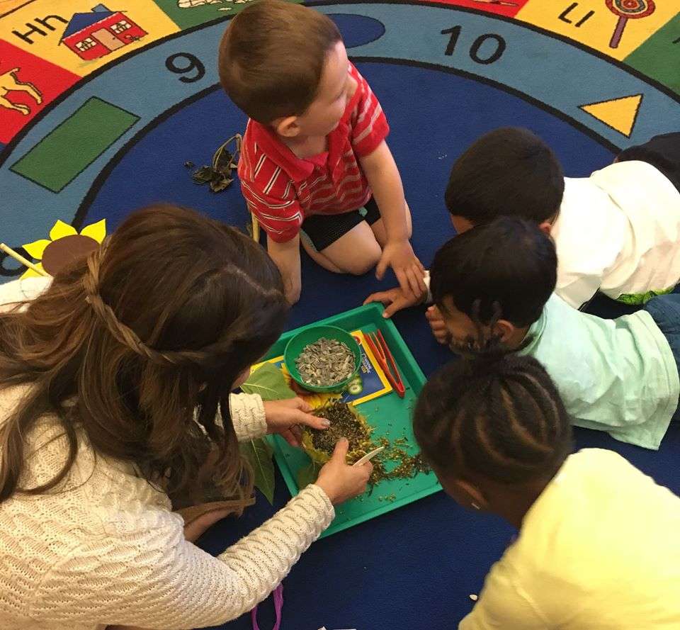 Mansfield YMCA Preschool | 40 Balcom St, Mansfield, MA 02048, USA | Phone: (508) 339-3066