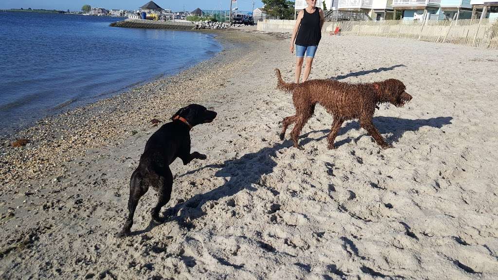 Beach Haven Doggy Bay | Taylor Ave, Beach Haven, NJ 08008