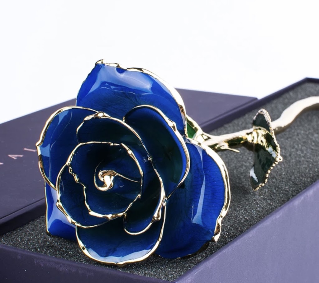 Mia glam roses | 7161 W 2nd Ln, Hialeah, FL 33014, USA | Phone: (786) 440-1871 Mia glam roses | 7161 W 2nd Ln, Hialeah, FL 33014, USA | Phone: (786) 440-1871