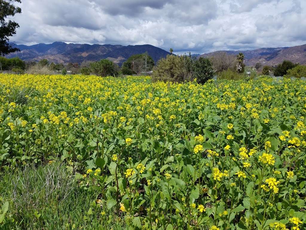 Ojai Meadows Preserve | 1447-, 1601 Maricopa Hwy, Ojai, CA 93023, USA | Phone: (805) 649-6852