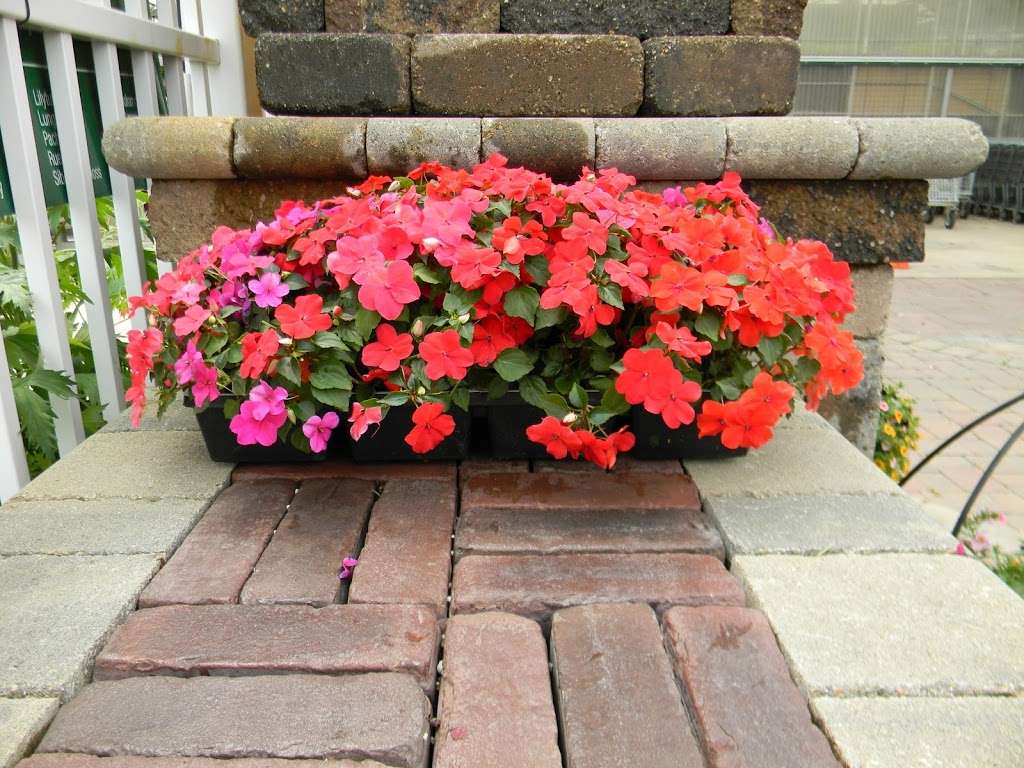 Blooms Greenhouse Growers Outlet | 719 Hupp Rd, La Porte, IN 46350, USA | Phone: (219) 393-3607