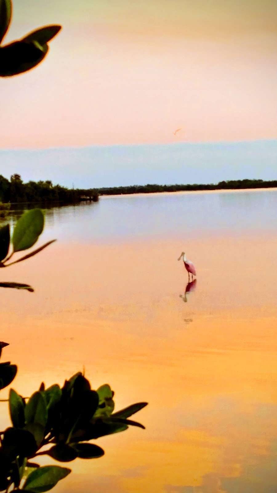 WSEG Boat Ramp - Mosquito Lagoon | Taylor Rd, Florida, USA | Phone: (321) 861-0667