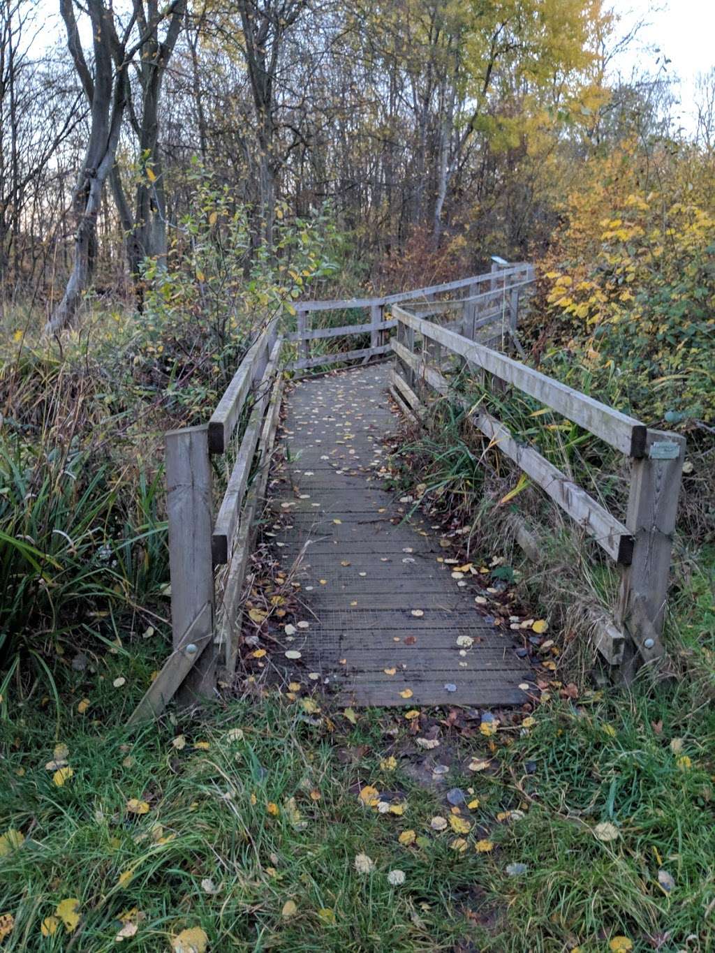 Balls Wood Nature Reserve | Unnamed Road,, Hertford Heath, Hertford SG13 7PZ, UK | Phone: 01727 858901