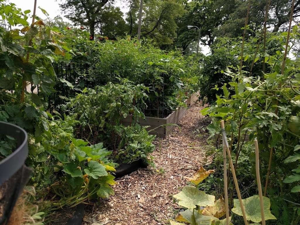 Lakeview Community Gardens At Diversey | N Lake Shore Dr, Chicago, IL 60657